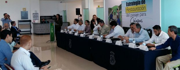 Lanzamiento del diseño de Estrategia de Restauración Funcional/Productiva de Paisaje para Chiapas