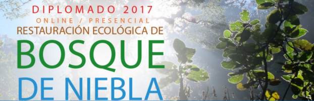 Diplomado en Restauración de Bosque de Niebla edición 2017